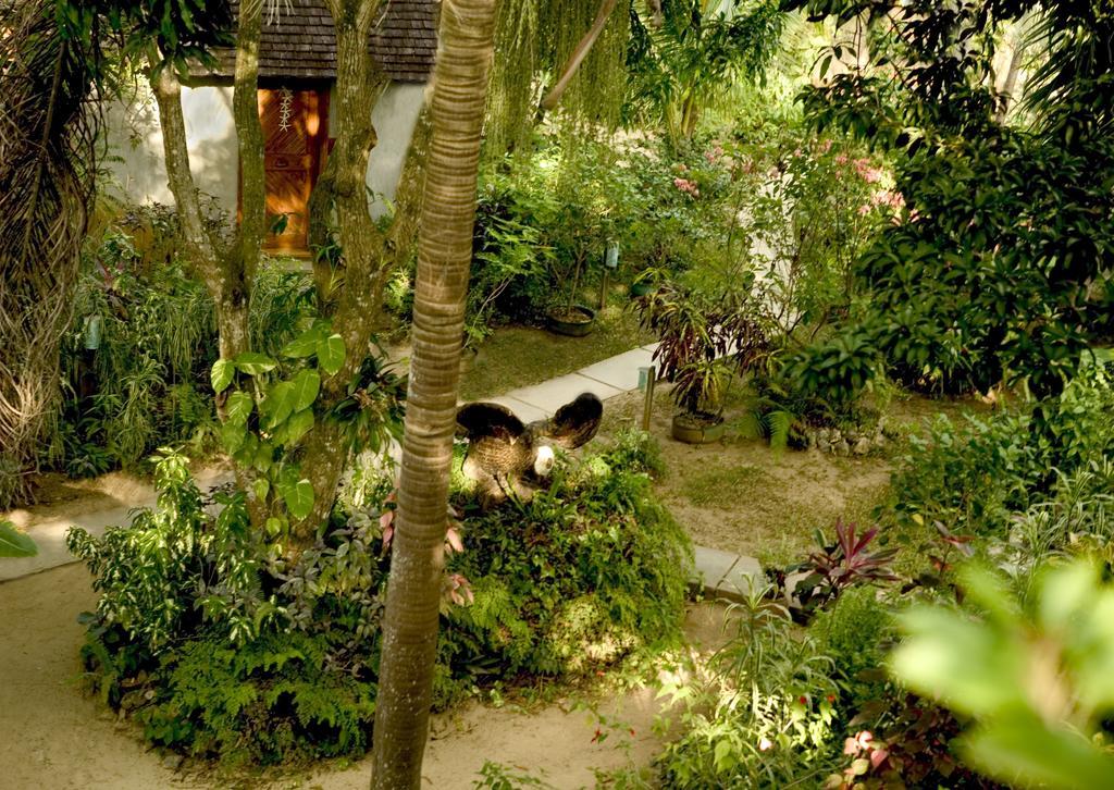 Whistling Bird Hotel Negril Exterior foto
